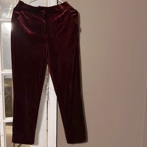 Romeo and Juliet pants, new with tag, straight leg high rise, velvet material